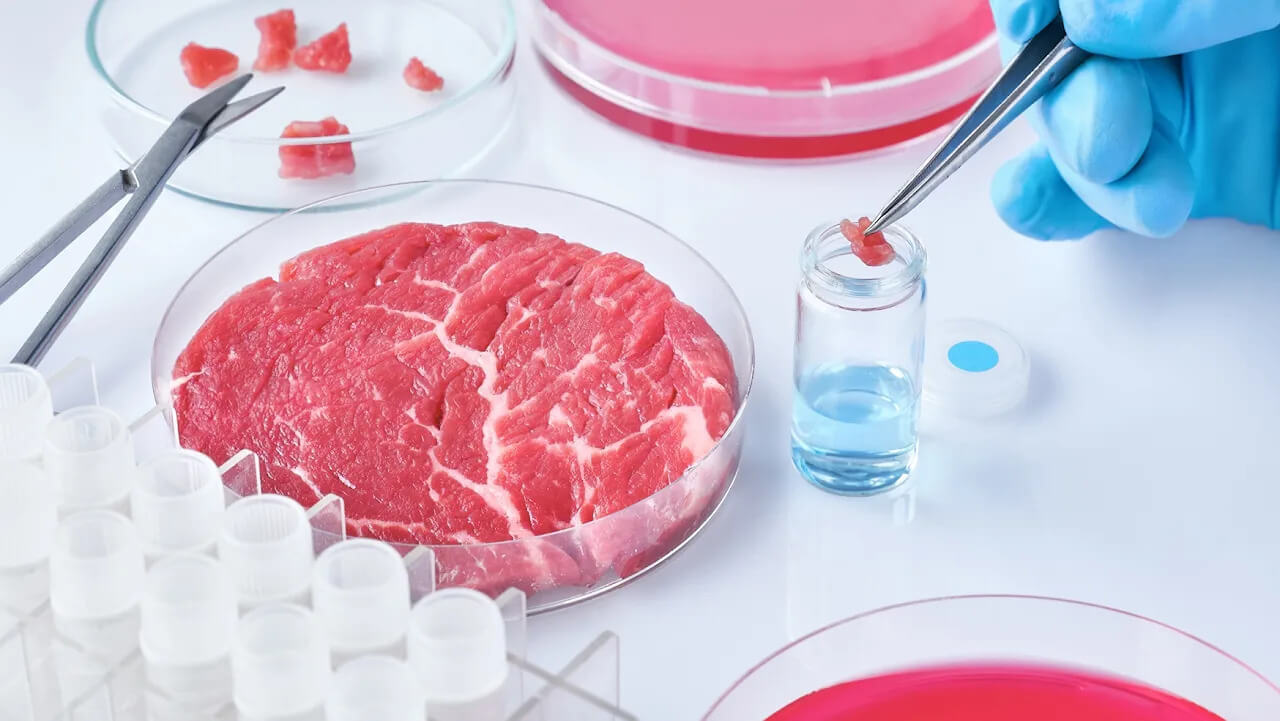 Доставка качественных и безопасных обедов в Челябинске Фото. Пищевая лаборатория